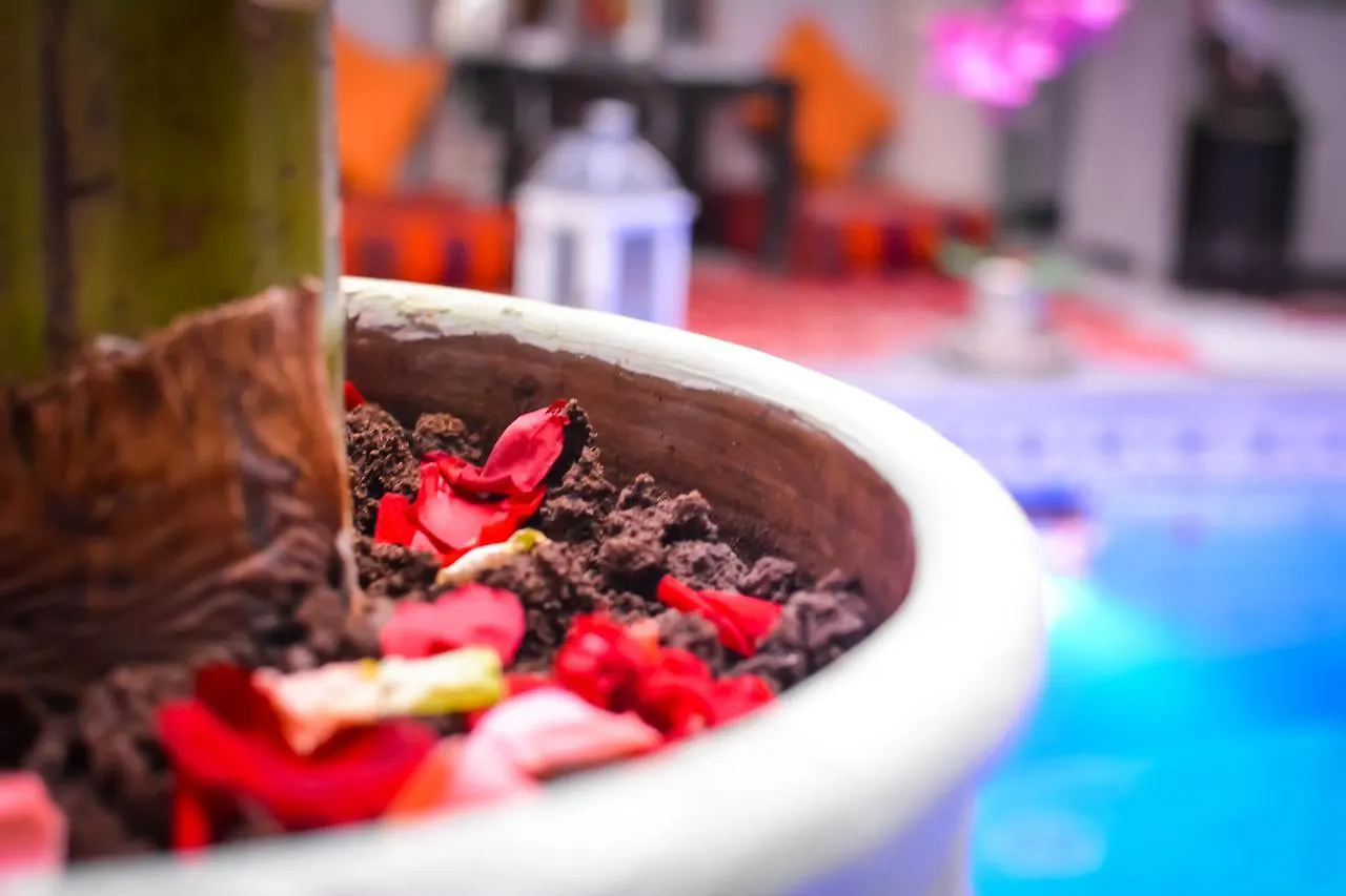 Riad Eloise Marrakesh 3*,